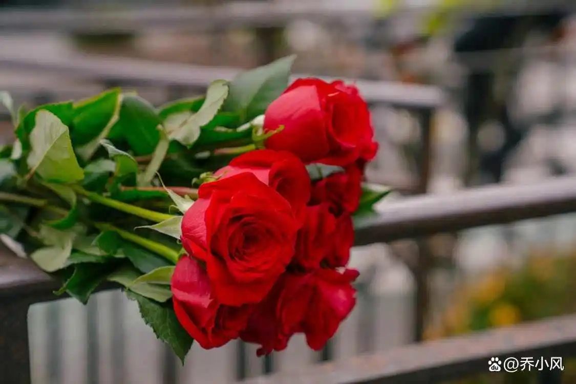 有心才会珍惜_珍惜心里有你的人说说短语_