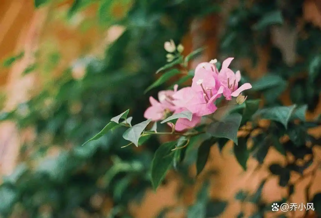 珍惜心里有你的人说说短语_有心才会珍惜_