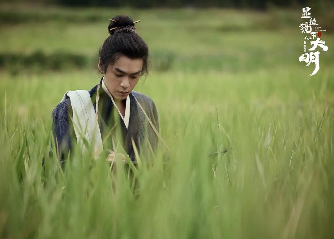 电视剧太平天国豆瓣评分__太平天国评分