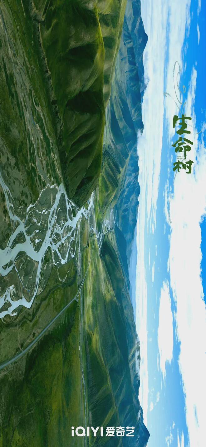 《生命树》大结局，林培生被判无期，老韩白芍、邵云飞白菊圆满_《生命树》大结局，林培生被判无期，老韩白芍、邵云飞白菊圆满_