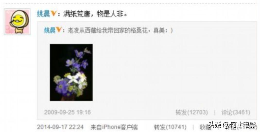 姚晨和佟大为结过婚吗__姚晨和佟大为