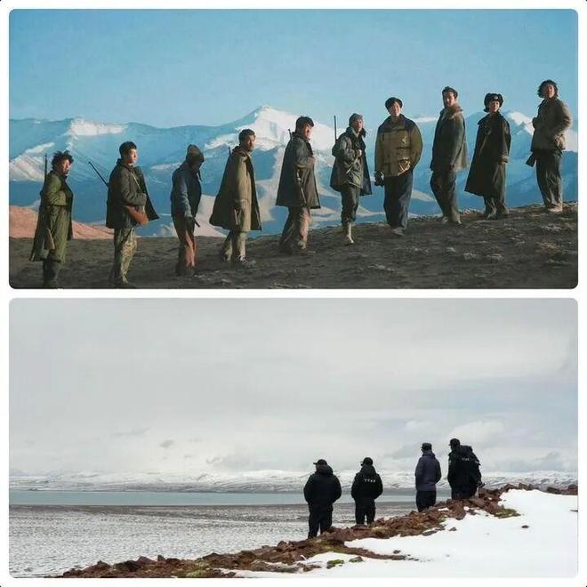 _英雄树是谁_英雄树是指