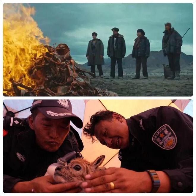 英雄树是谁__英雄树是指