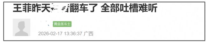 王菲上春晚的歌__王菲春晚唱歌