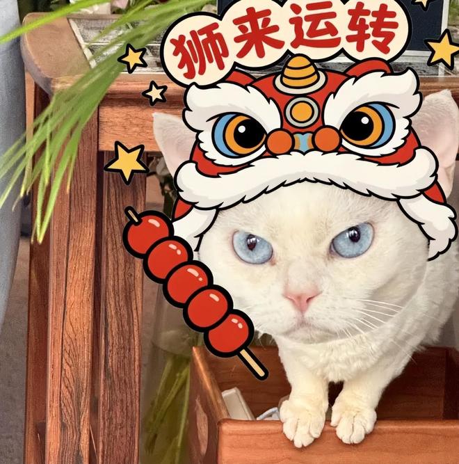 _厨师秀饺子_超小厨吃饺子视频