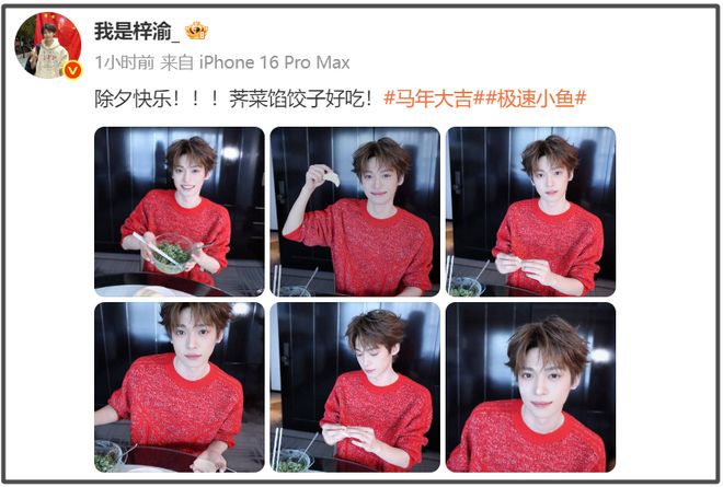 超小厨吃饺子视频__厨师秀饺子