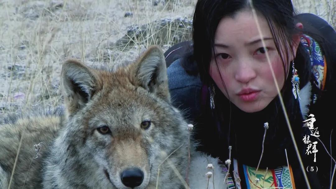 吴京谈高票房_吴京票房最高十大动作电影_