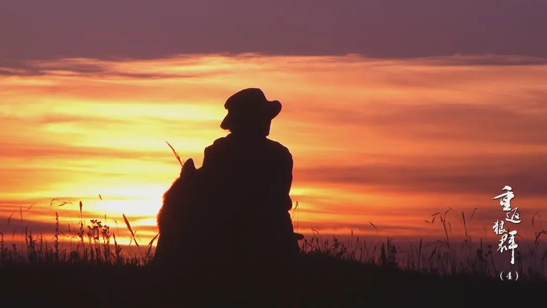 吴京票房最高十大动作电影__吴京谈高票房