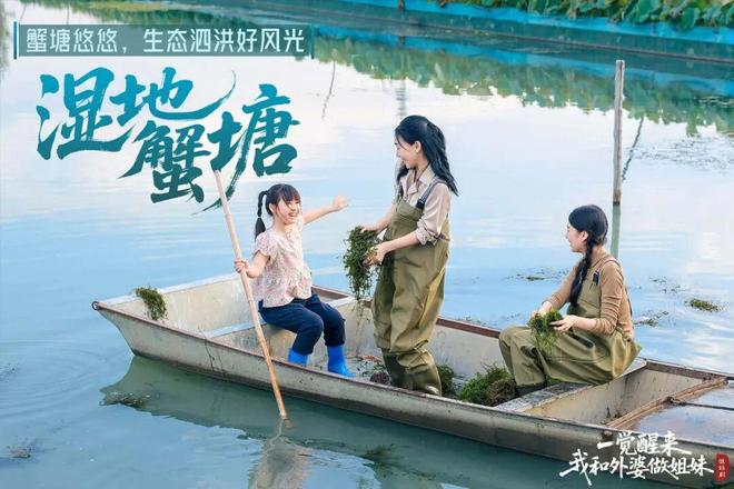 _江苏泗洪电视台直播_泗洪电视台在线观看8点