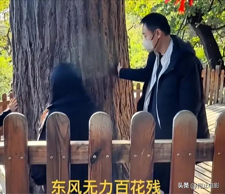 春节前后,52岁辛柏青传来“好消息”,朱媛媛终于可以放心了_春节前后,52岁辛柏青传来“好消息”,朱媛媛终于可以放心了_