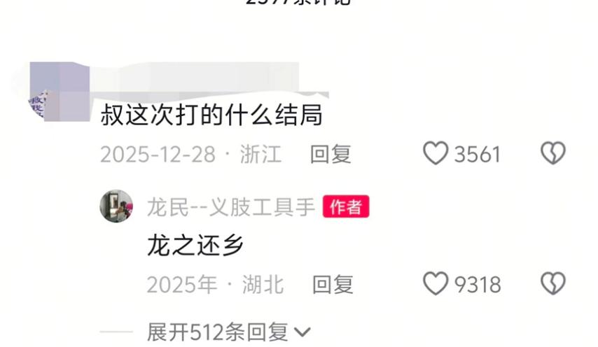 只狼龙之还乡结局条件__只狼龙之还乡结局解析