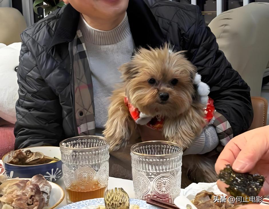 魔耳戴戴瘦官网_魔耳戴戴瘦有效果吗_