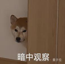 2021春晚机器人是真的吗__春晚机器人犇犇