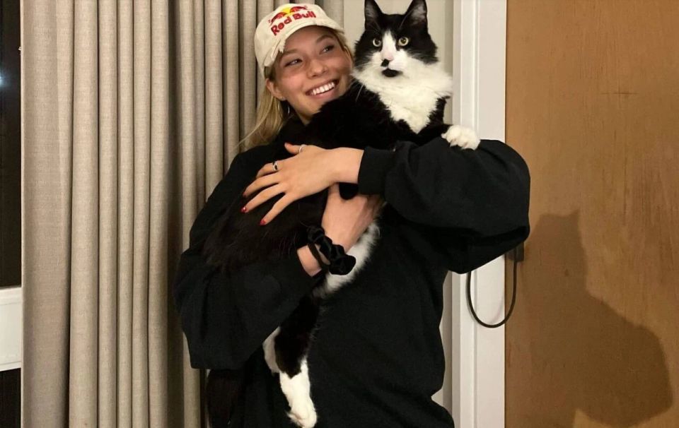 疯狂相亲视频__相亲风波知乎