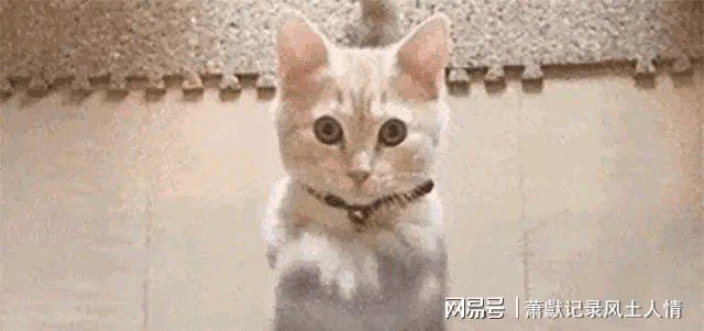 _邓超孙俪大婚视频_邓超vs孙俪