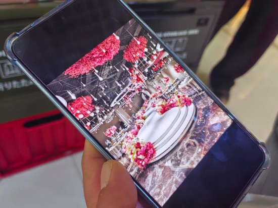 _“云花”寄春来 “颜值”变“产值”_“云花”寄春来 “颜值”变“产值”