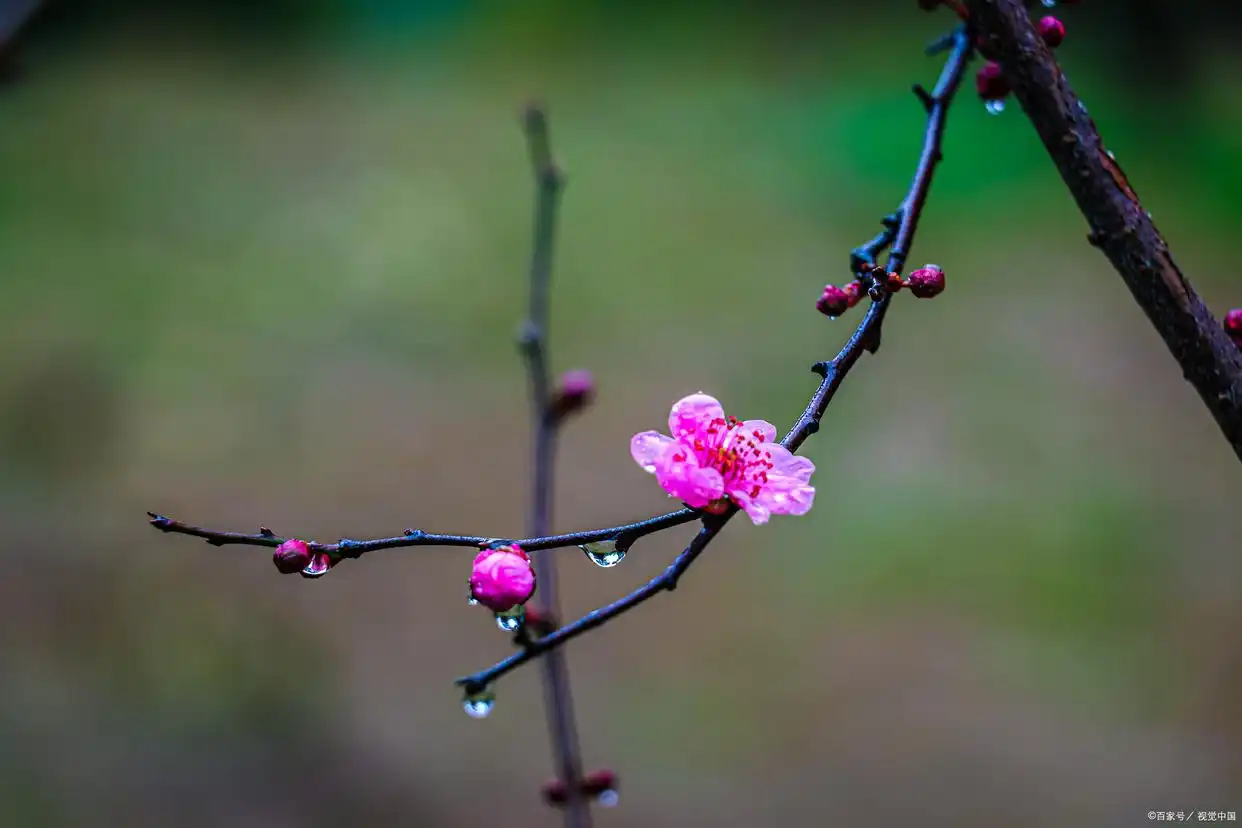 _想你念你亲爱的你求歌名_想你爱你念你恋你