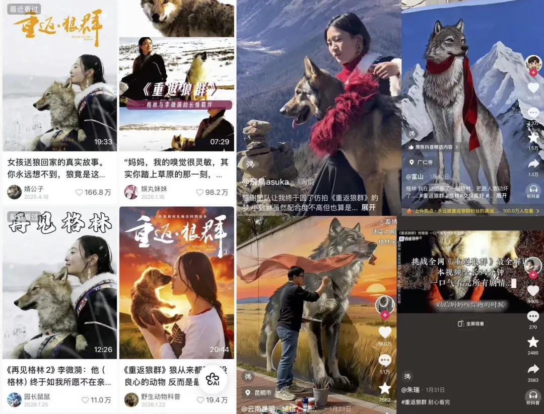 春节档电影热度__去年春节档