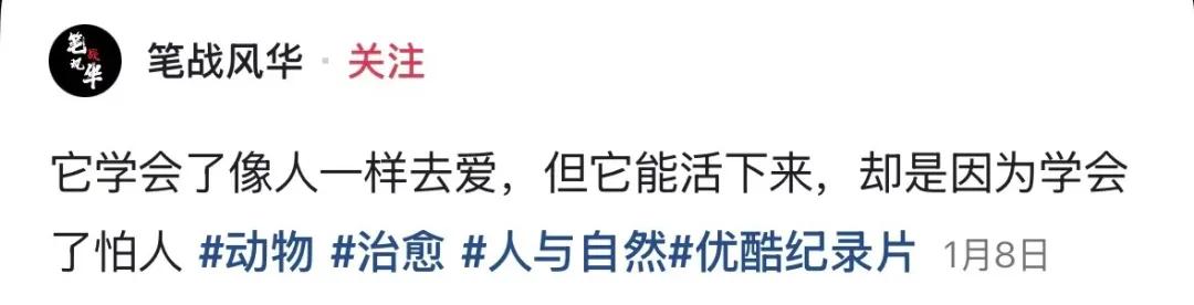 去年春节档_春节档电影热度_