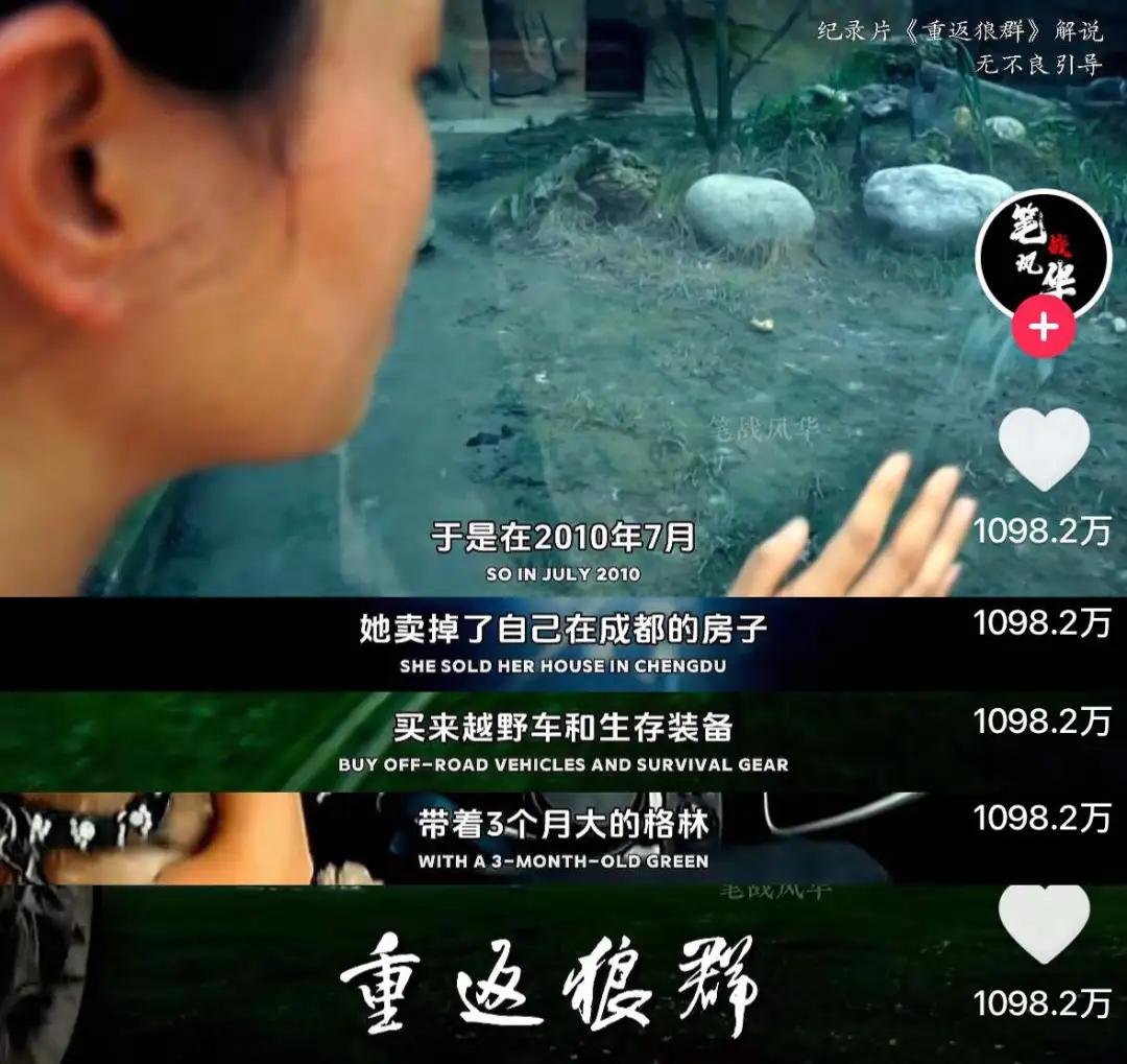 _春节档电影热度_去年春节档