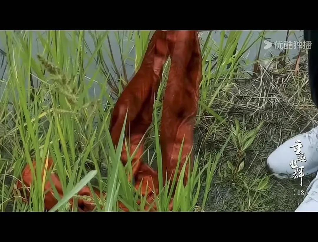 去年春节档__春节档电影热度