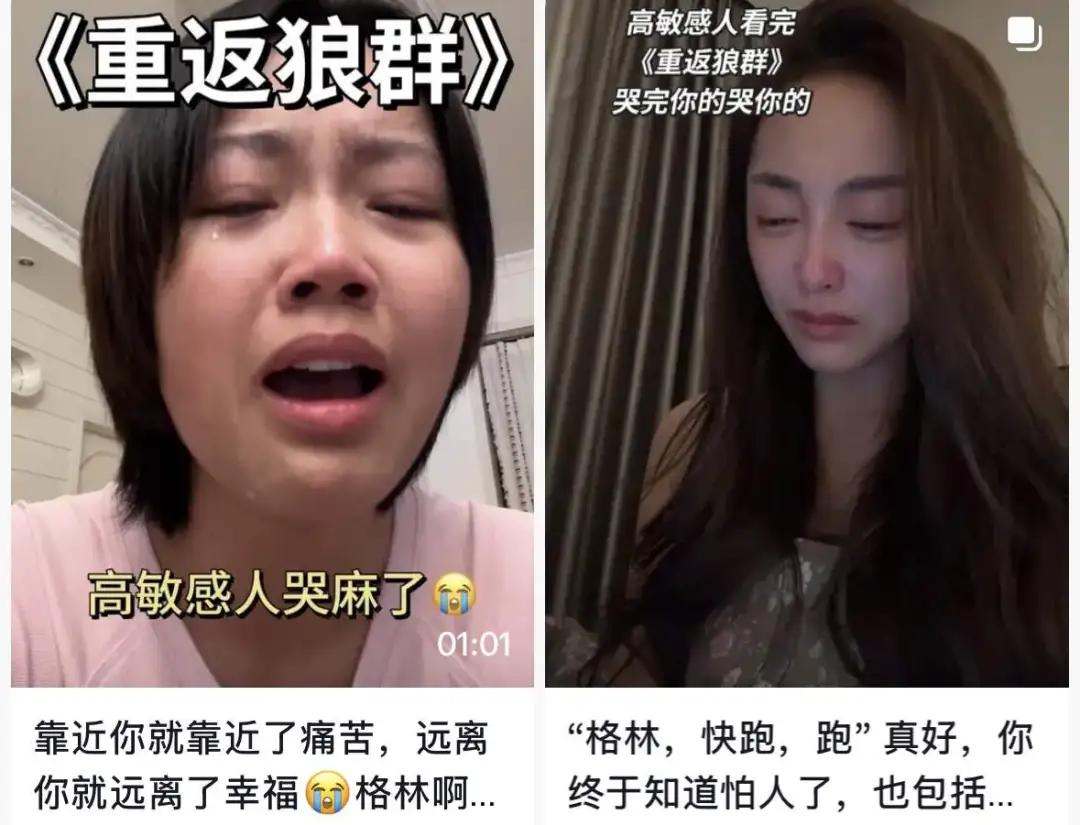 春节档电影热度__去年春节档