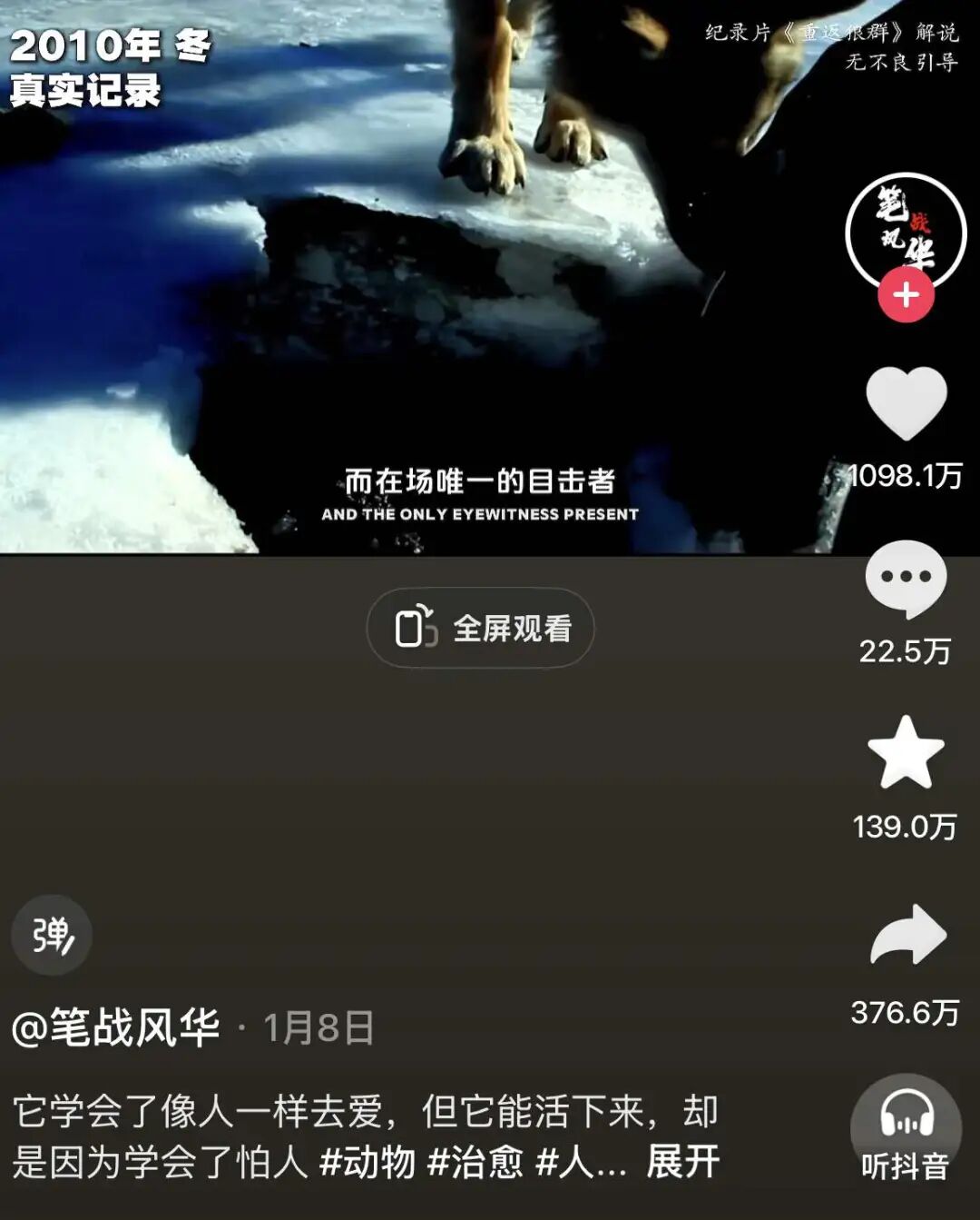 去年春节档__去年电影春节档