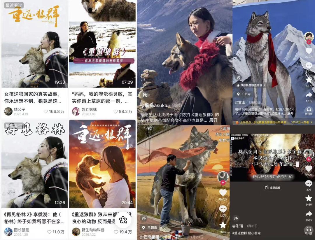 去年春节档_去年电影春节档_