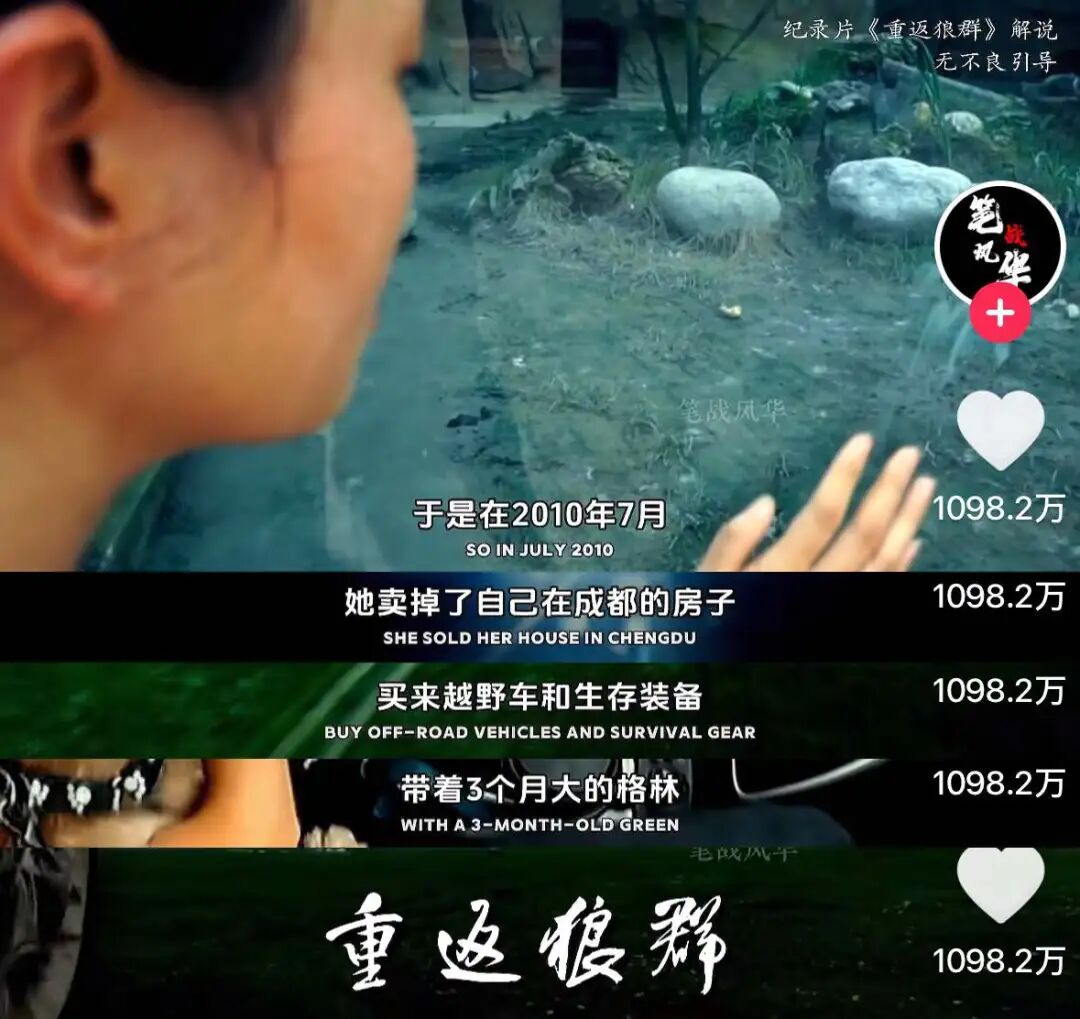 _去年电影春节档_去年春节档