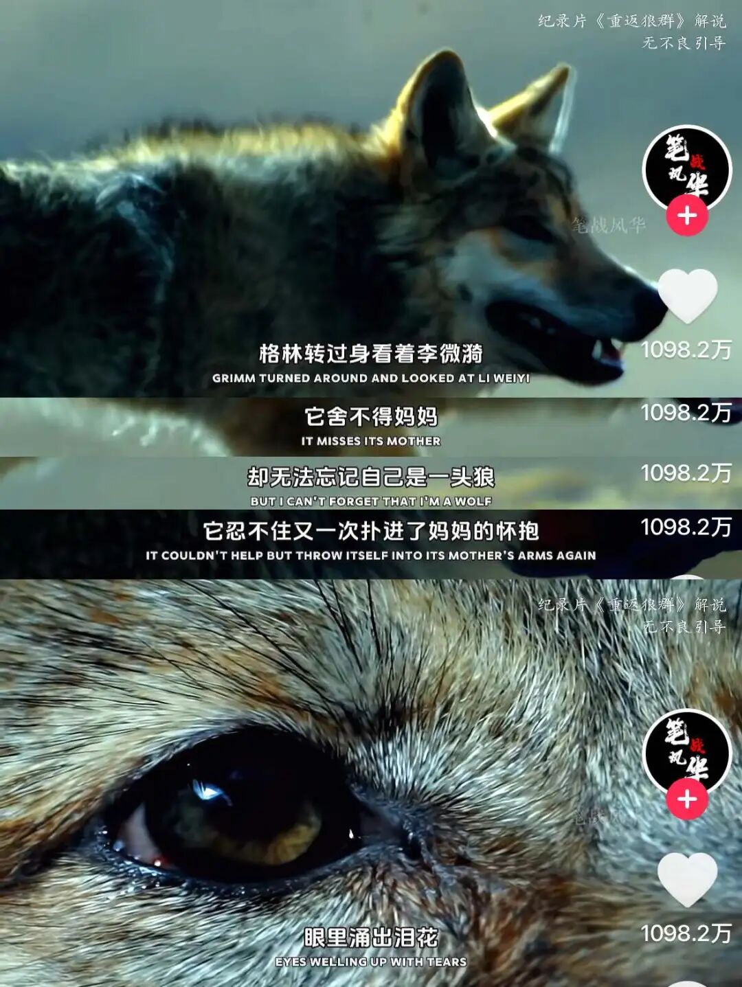 去年电影春节档_去年春节档_