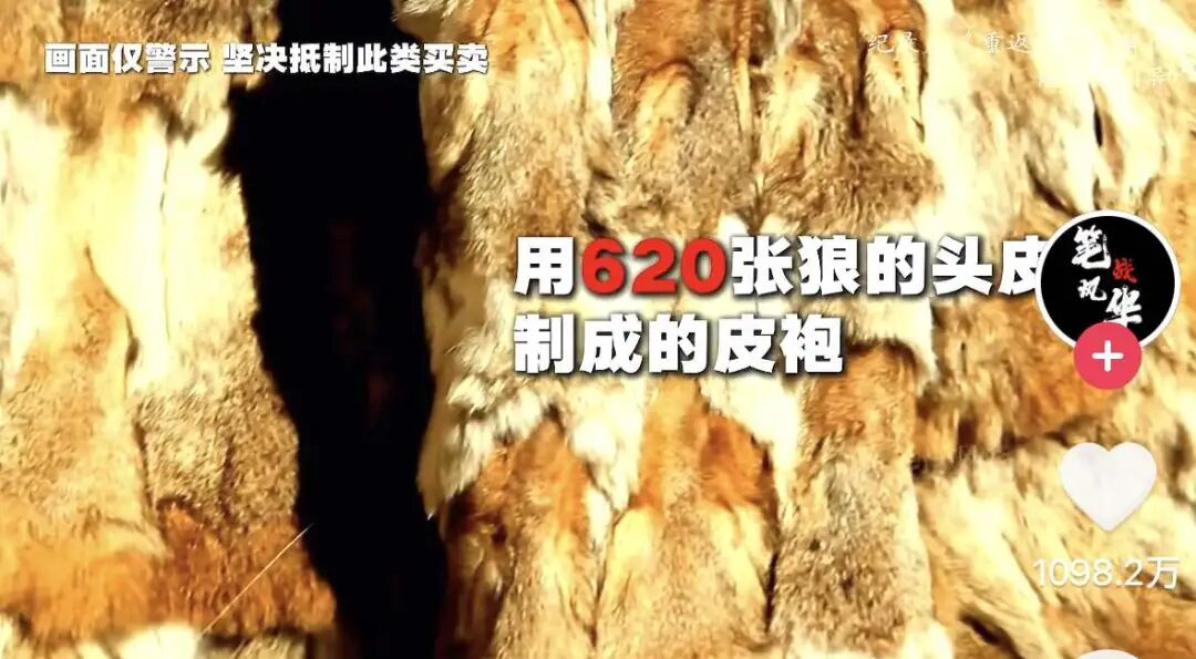 去年电影春节档_去年春节档_