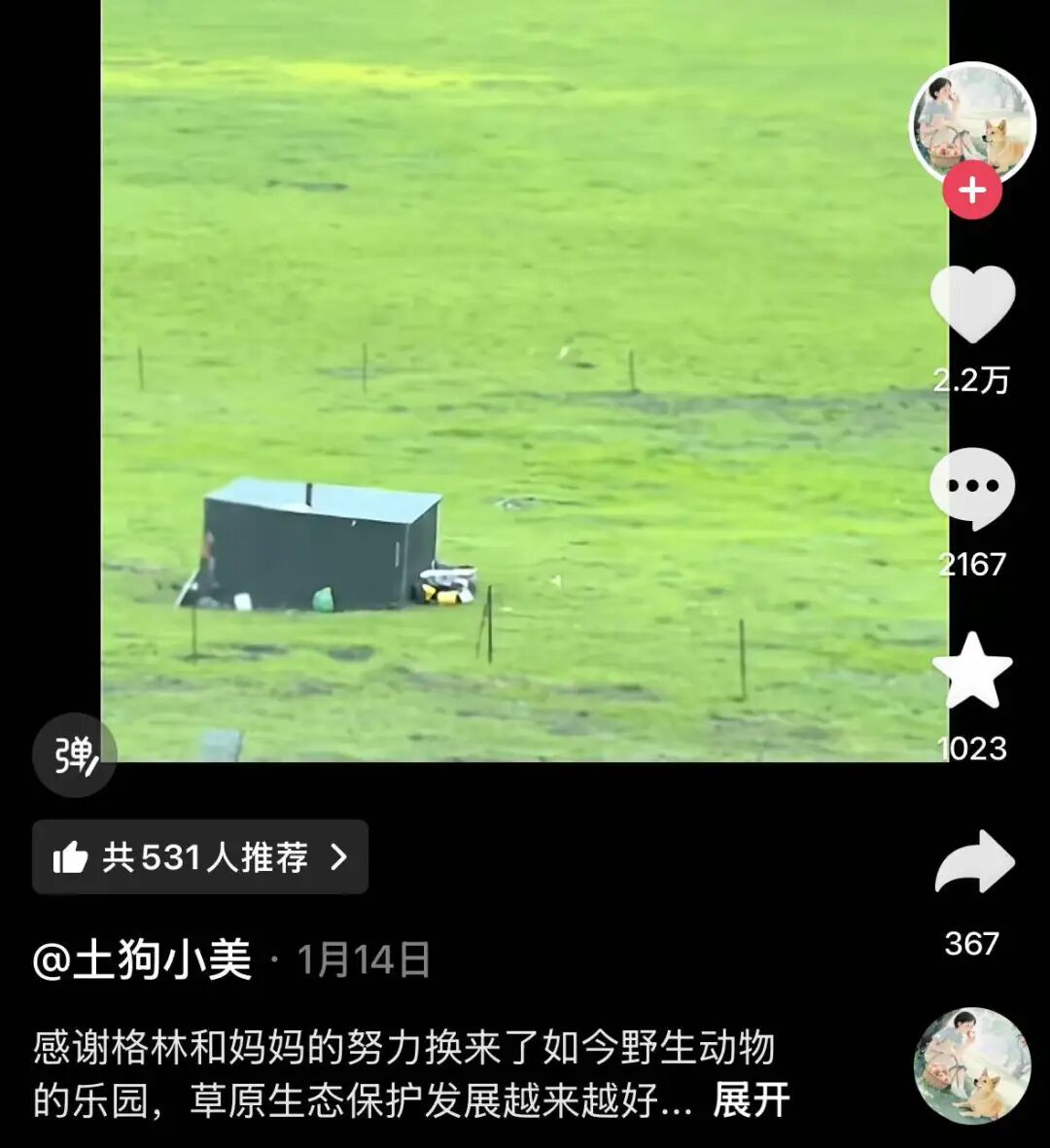 去年电影春节档_去年春节档_