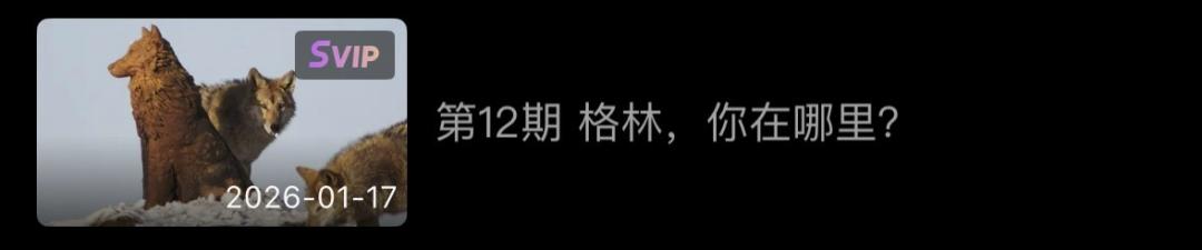 去年电影春节档_去年春节档_