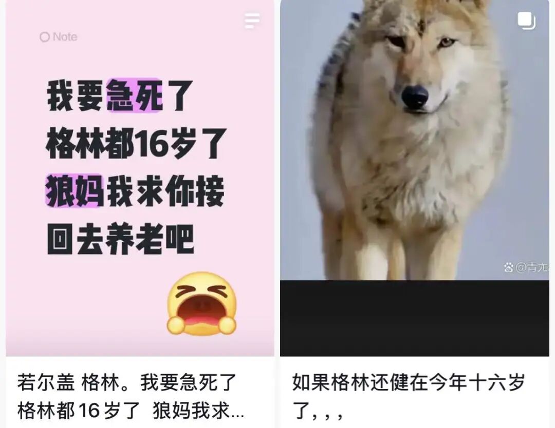 去年电影春节档_去年春节档_