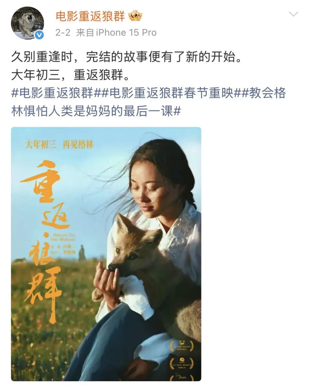 去年春节档__去年电影春节档