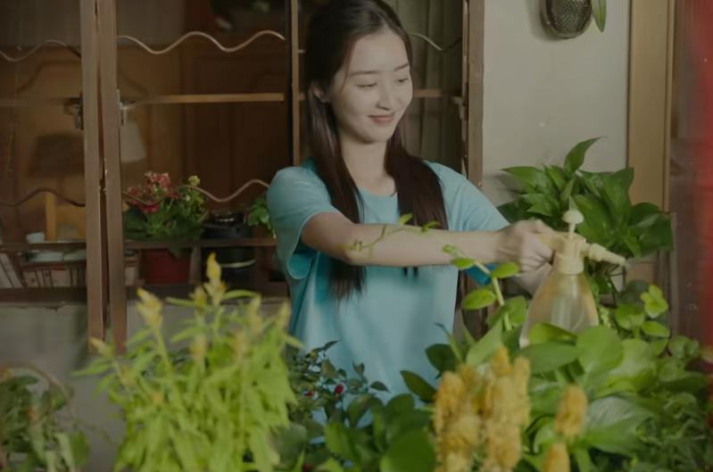 _又一部黑马剧_新剧黑马