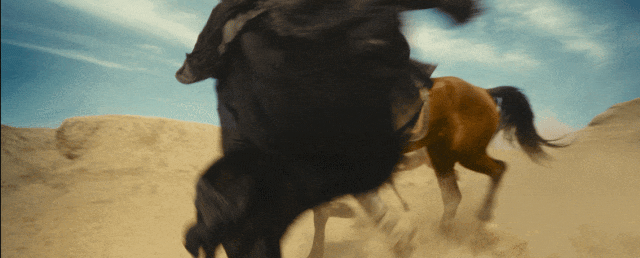 _票房会破9亿?看完《镖人》,我想说:武侠片的荣光打回来了_票房会破9亿?看完《镖人》,我想说:武侠片的荣光打回来了