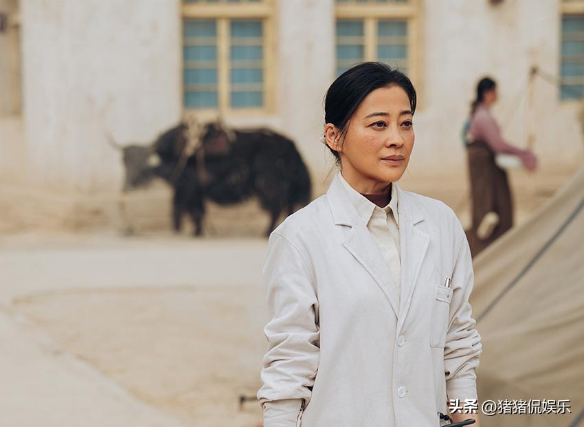 央视追剧app__看cctv一直播的节目