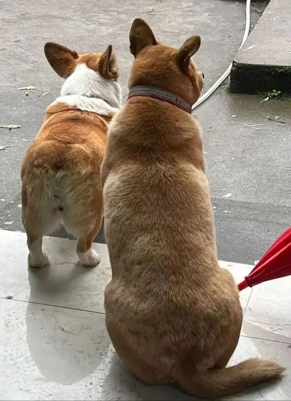 讲一个小鲜肉抱“女大佬”大腿上位的瓜！_讲一个小鲜肉抱“女大佬”大腿上位的瓜！_