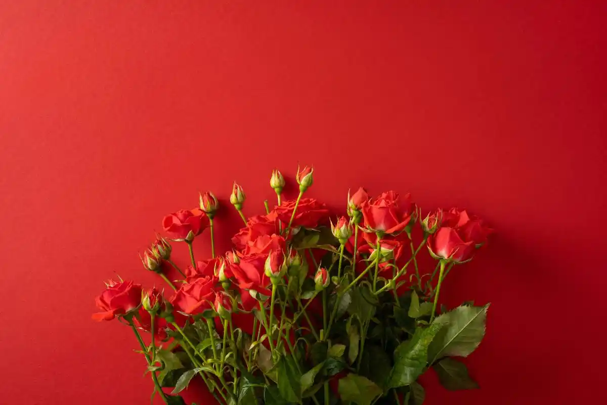 _想念你的好想念你的味道歌词_好想你的样子