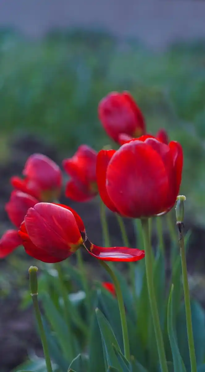 好想你的样子_想念你的好想念你的味道歌词_