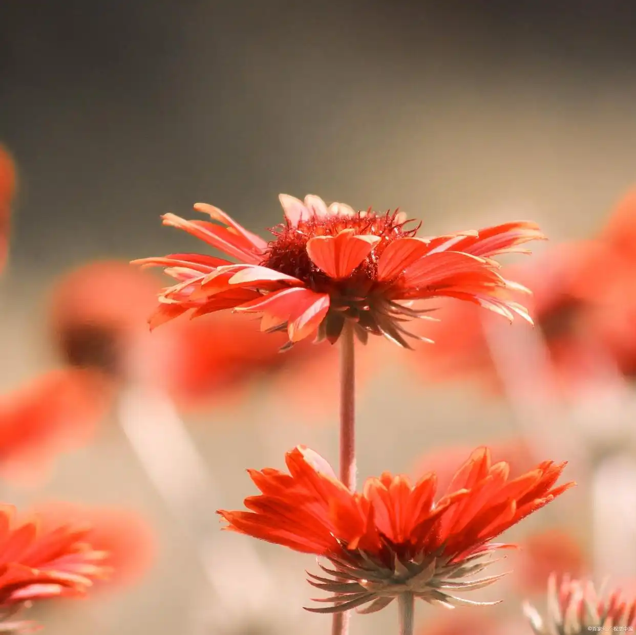 好想你的样子__想念你的好想念你的味道歌词