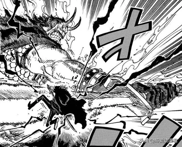 _海贼王情报什么意思_海贼王情报机构