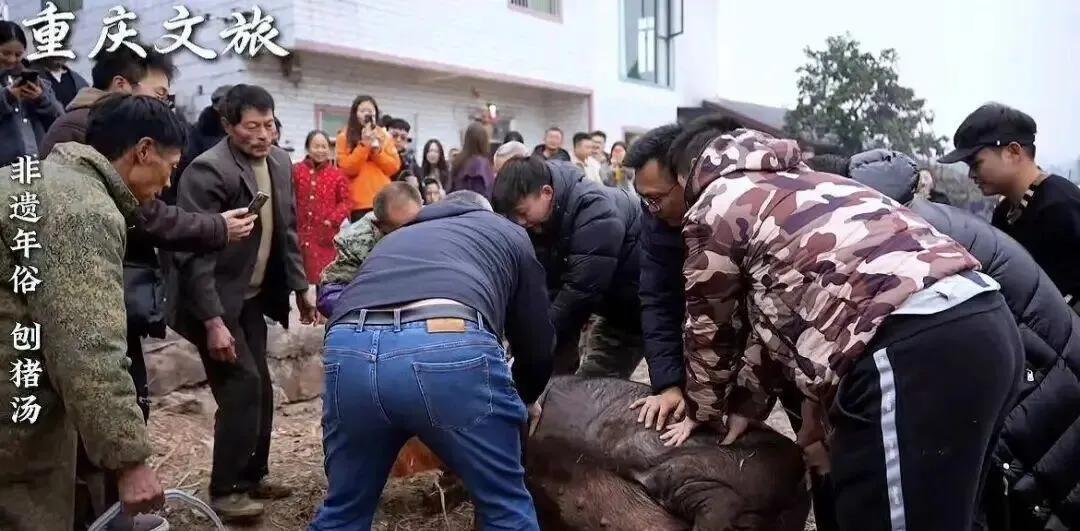 _小祸祸管珂照片_小祸祸管珂vip视频