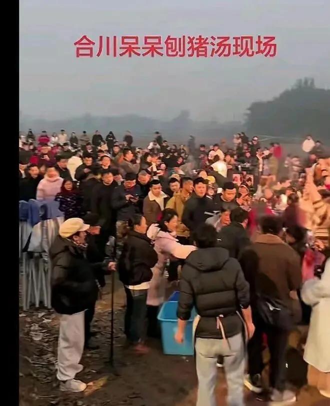 _小祸祸管珂照片_小祸祸管珂vip视频