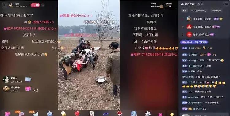 小祸祸管珂vip视频_小祸祸管珂照片_