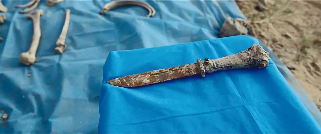 我们复婚吧木清竹阮__今夜菊开