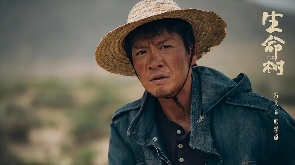 _我们复婚吧木清竹阮_今夜菊开