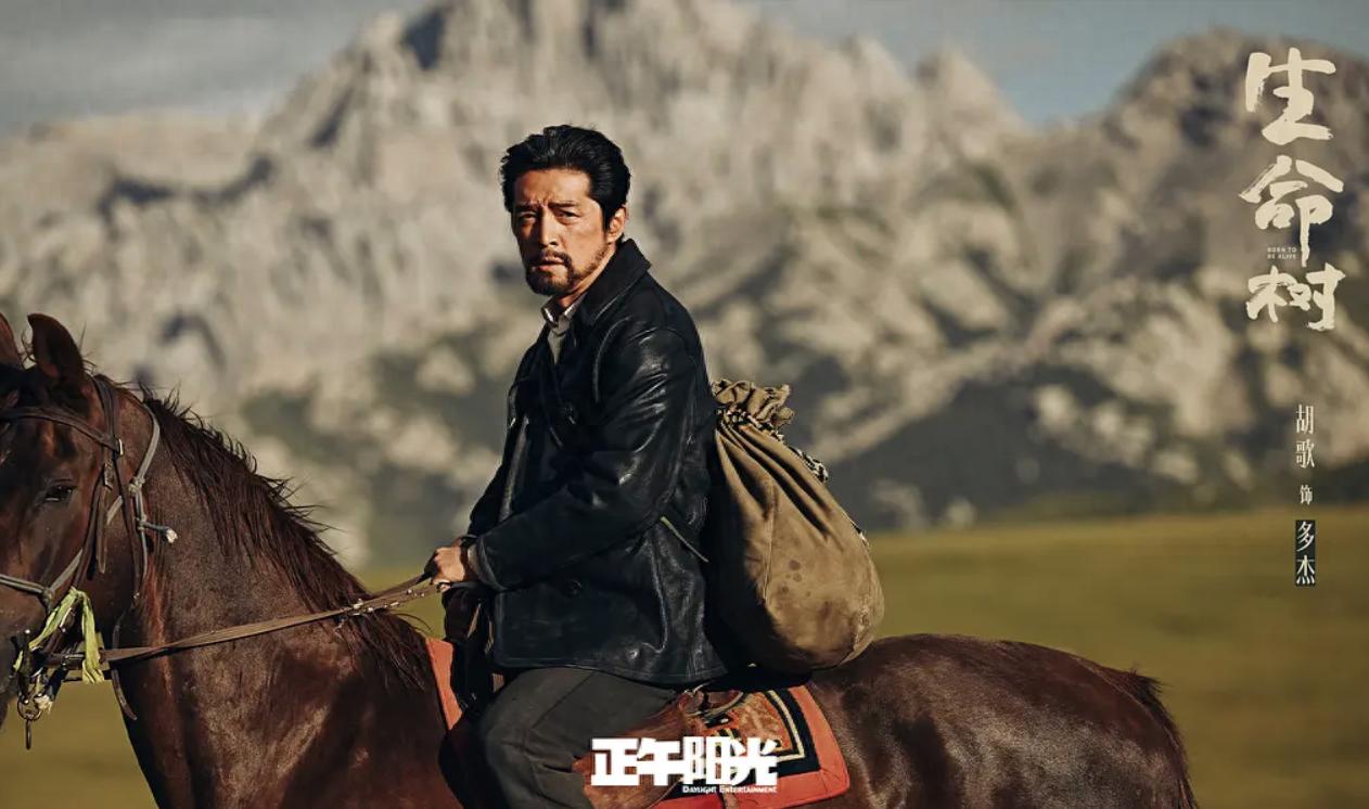 今夜菊开__我们复婚吧木清竹阮