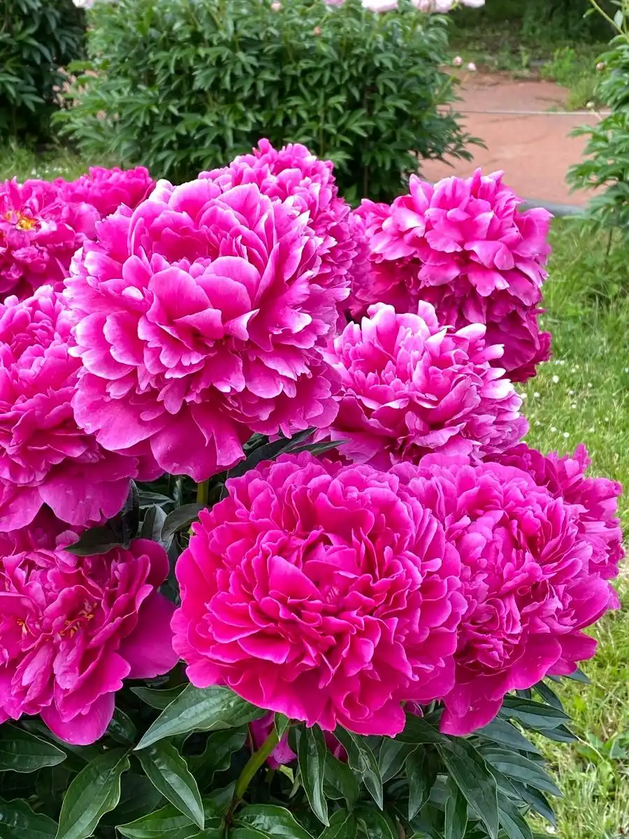 广场舞一生牵挂的人__一生朋友牵挂